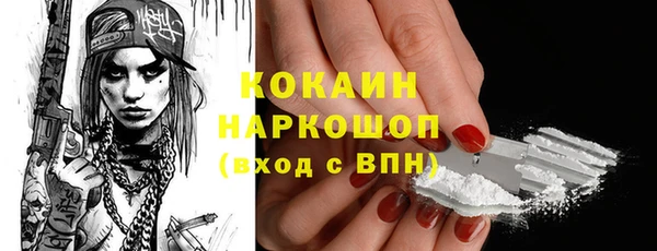 стаф Алзамай