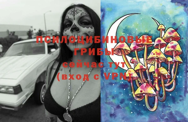 ешки Алексин