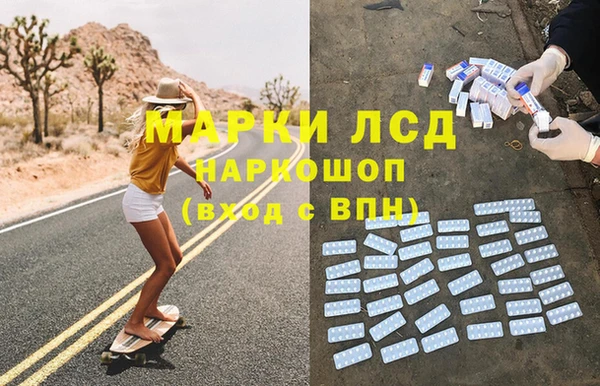 прущие грибы Алексеевка