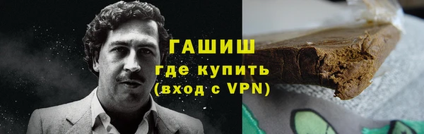 стаф Алзамай