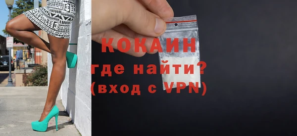 стаф Алзамай