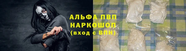 стаф Алзамай