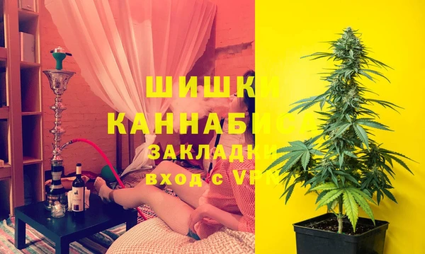 ешки Алексин