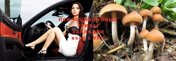 ешки Алексин