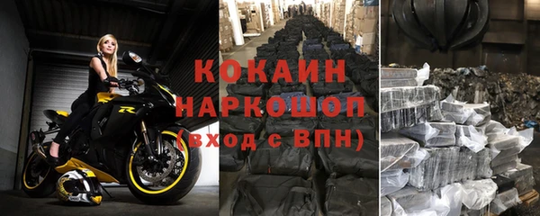 стаф Алзамай