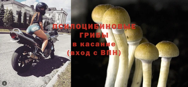 ешки Алексин