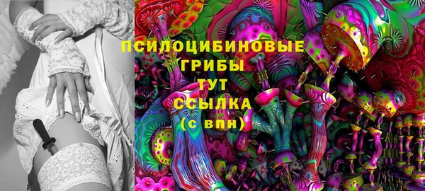 стаф Алзамай