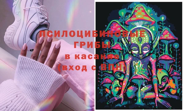 ешки Алексин