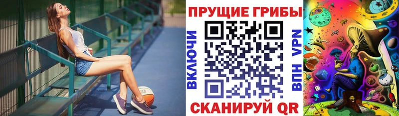 Галлюциногенные грибы Cubensis  Динская 