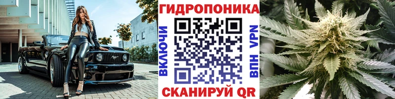 hydra ССЫЛКА  Динская  Шишки марихуана ГИДРОПОН  закладка 